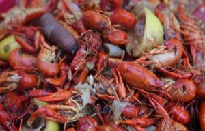 To Eat or Not To Eat a Straight Tail Crawfish?