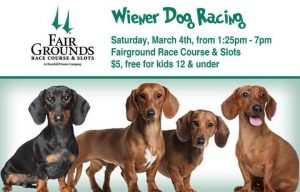 Wiener Dog Racing